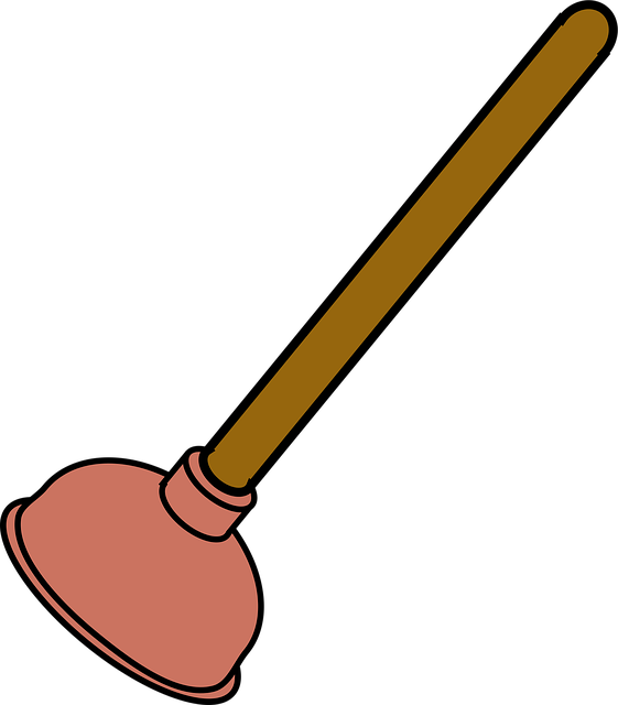 plumbing inspection