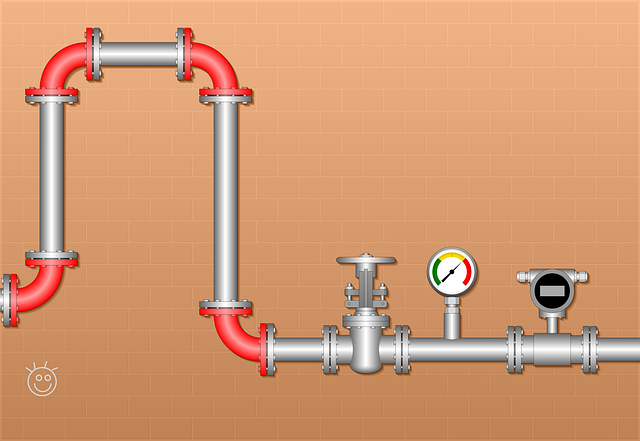 plumbing inspection