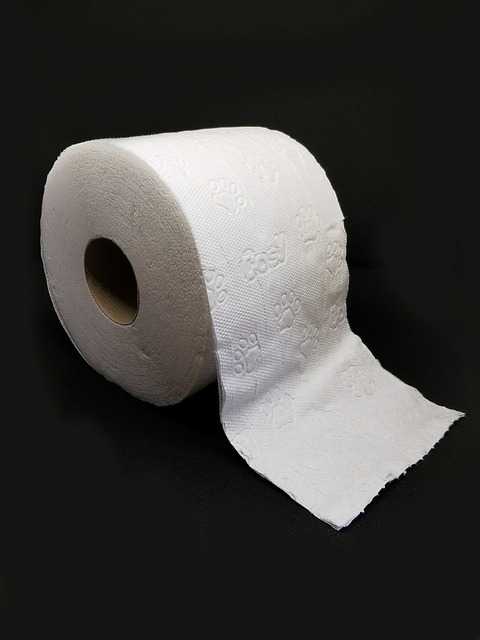 toilet repair
