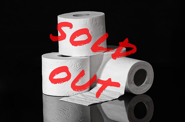 toilet repair
