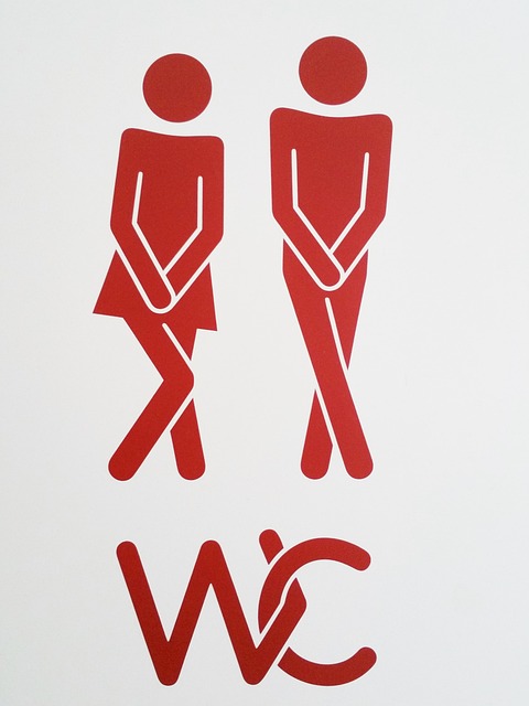 toilet tools