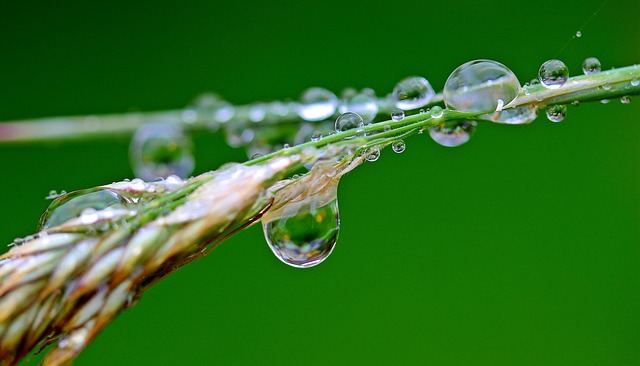 water-heater-640x480-72645252.jpeg