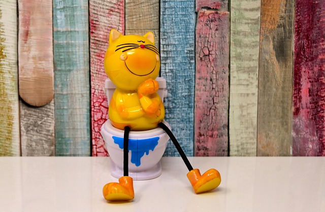 Trusted Toilet Repair Seattle: Efficient Solutions for Homes and Businesses