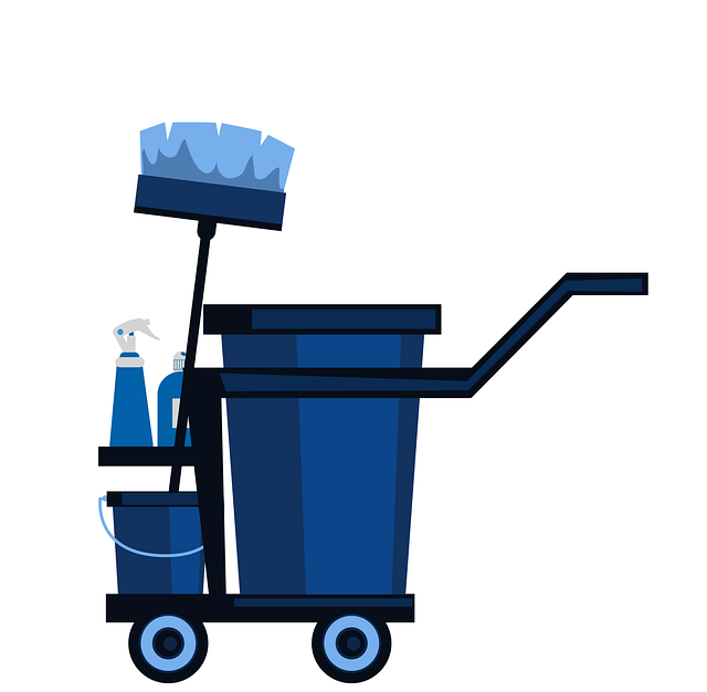 Fix Drain Backups: Everett Plumbing Solutions & Prevention