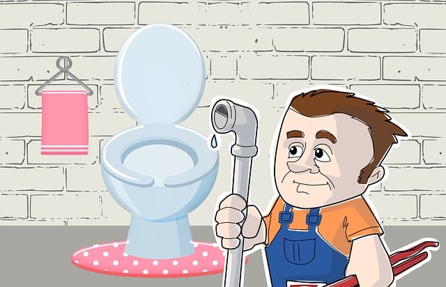 emergency plumber
