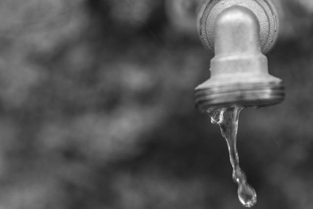 faucet reapir everett