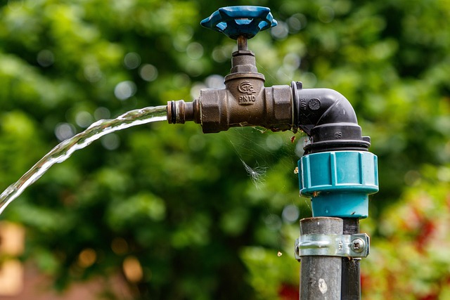 Top Faucet Repair Companies in Everett WA Reviewed
