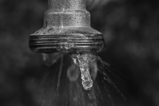 faucet reapir everett