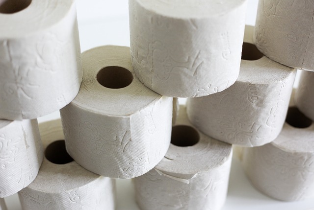 leaking toilet