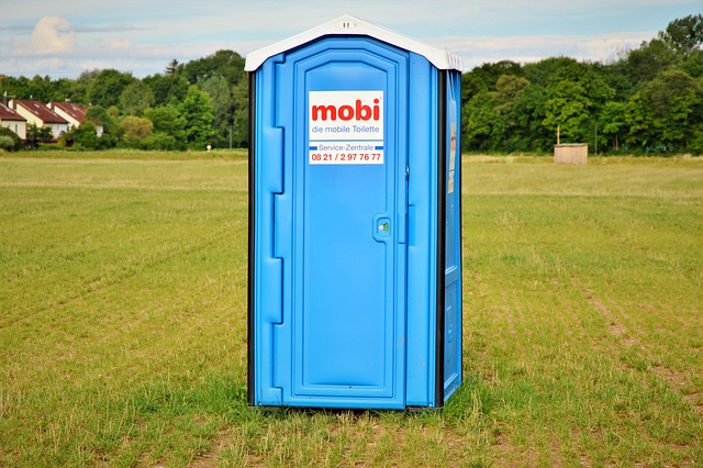 leaking toilet