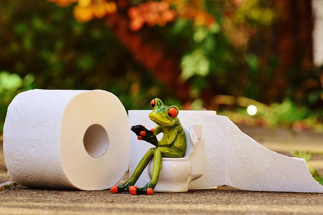 Trustworthy Toilet Repair Seattle Homes & Businesses