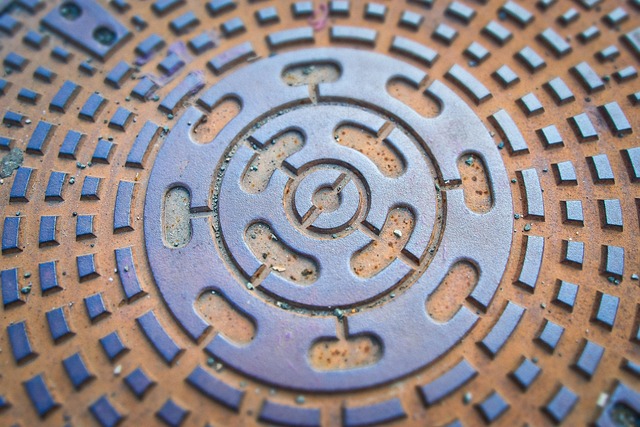 Trustworthy Sewer Line Repair Seattle Experts for Homes and Businesses