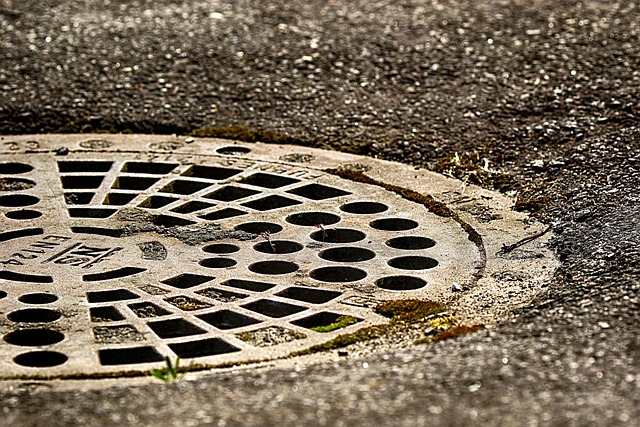 Trusted Sewer Line Repair Seattle Experts for Homes and Businesses