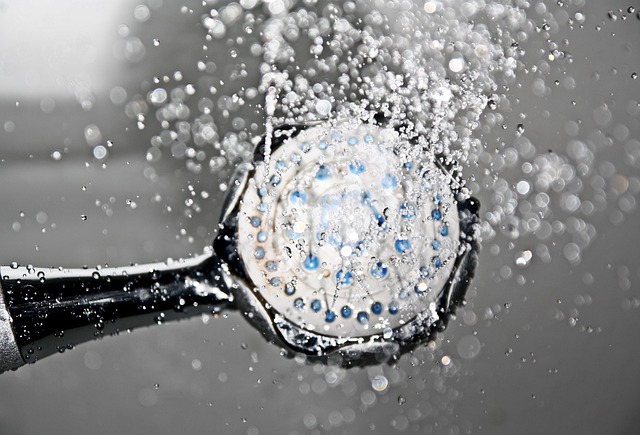 shower repair everett