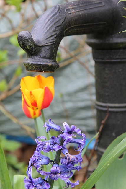 sump pump repair everett