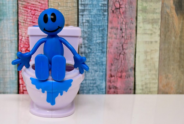 Reliable Toilet Repair Seattle Homes Businesses Trust