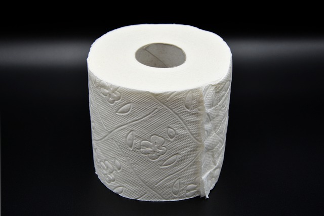 toilet repair