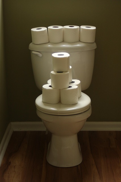 Fix Toilet Fill Issue: Everett Repair Guide & Tips