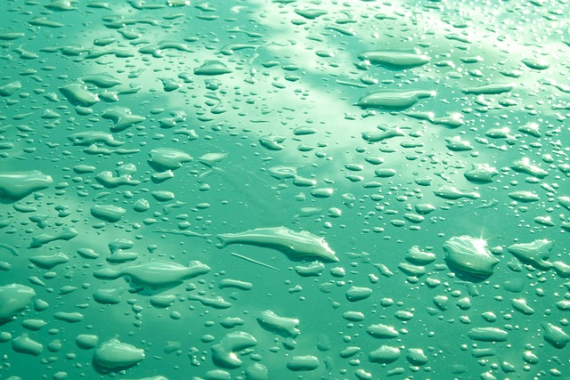 Reliable Water Heater Repair Seattle Trusts for Quick Fixes