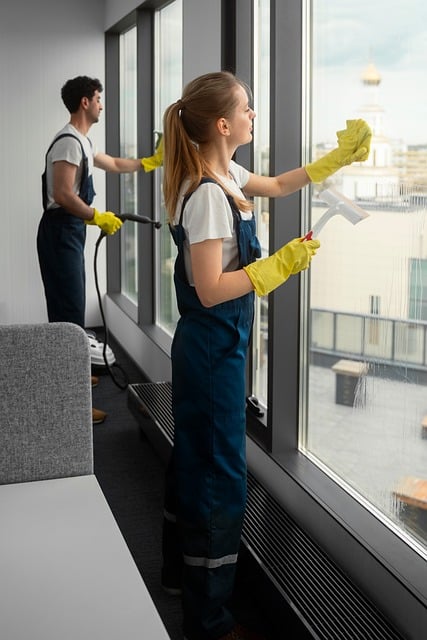 drain cleaning everett