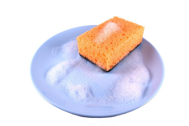 drain-cleaning-everett-640x480-98688737.jpeg