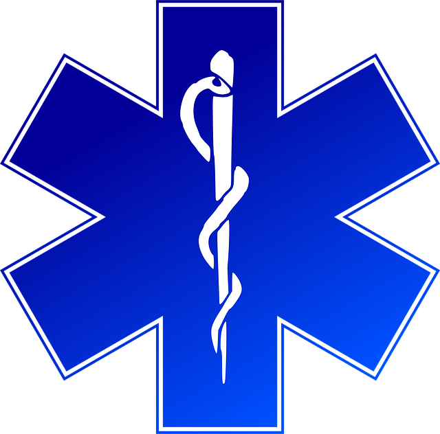 emergency plumbing everett