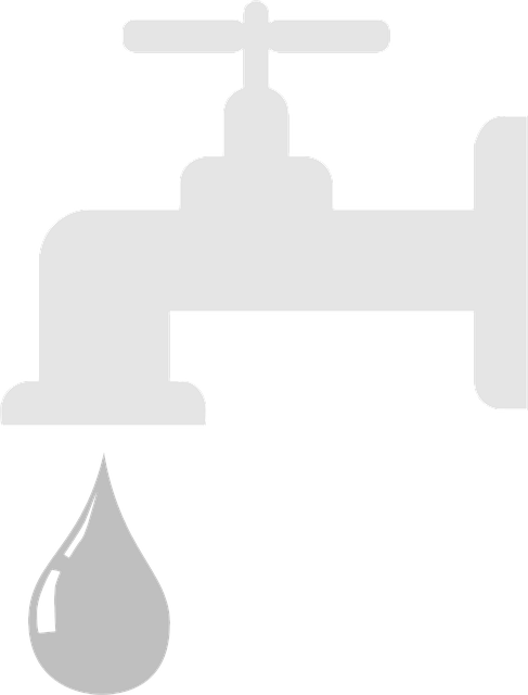 faucet reapir everett
