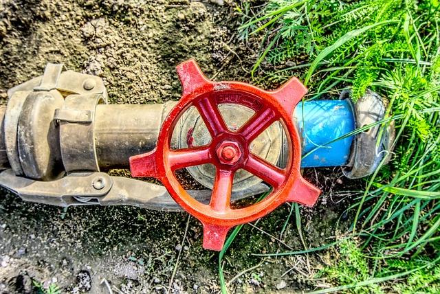 Faucet Repair vs Replacement: Everett’s Guide to Savings