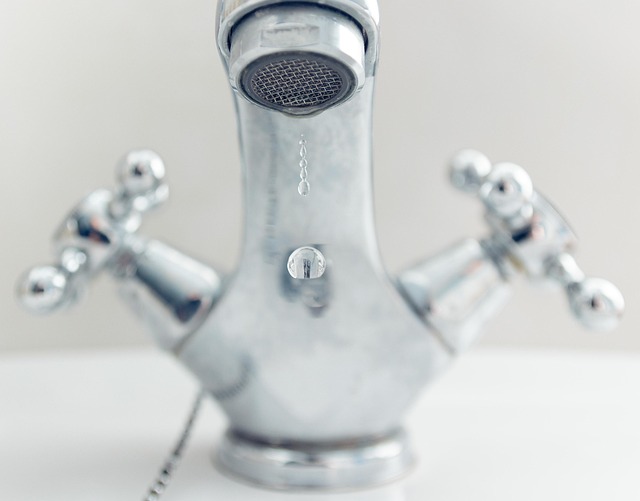 faucet reapir everett