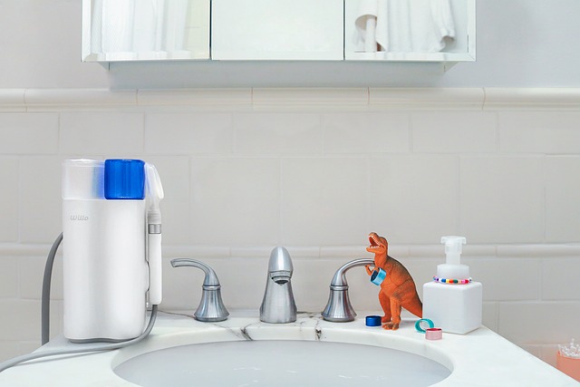 Kitchen Sink Installation Service Everett