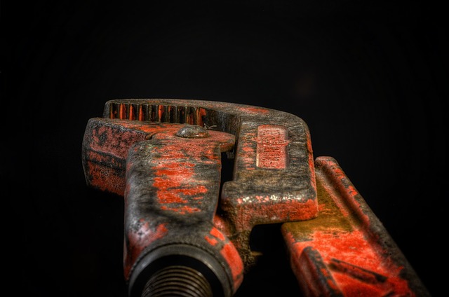plumber with camera