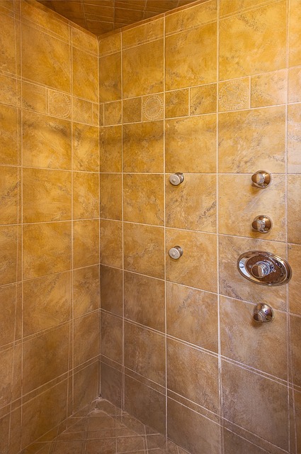 shower repair everett