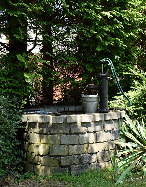 sump pump repair everett
