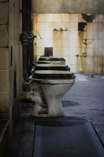 toilet-repair-640x480-34942737.jpeg