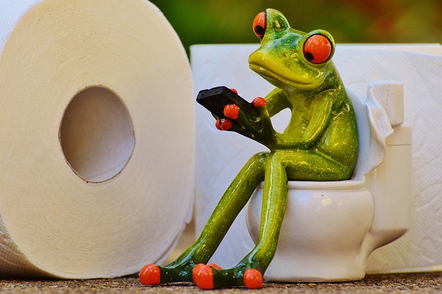 toilet repair everett