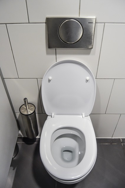 Prompt Toilet Repair Everett: Quick, Reliable Service Solutions