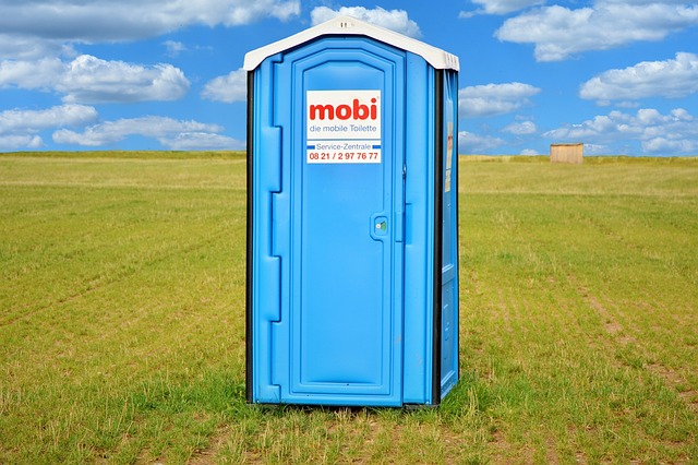 toilet repair everett