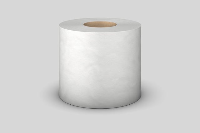 toilet-repair-everett-640x480-76578348.jpeg