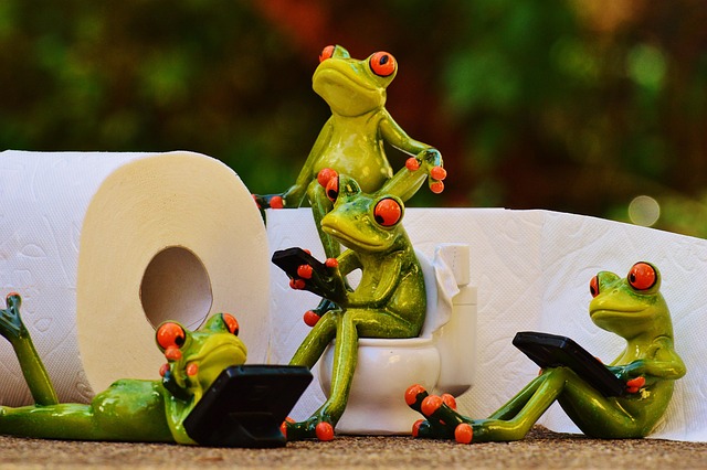 toilet-repair-everett-640x480-92662401.jpeg