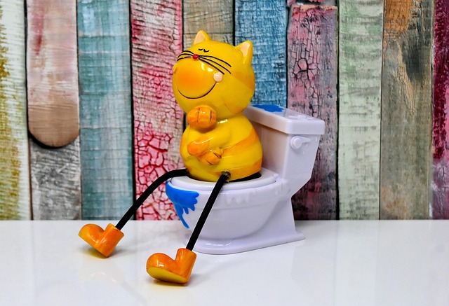 toilet repair everett