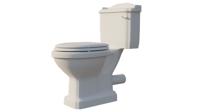 toilet tools
