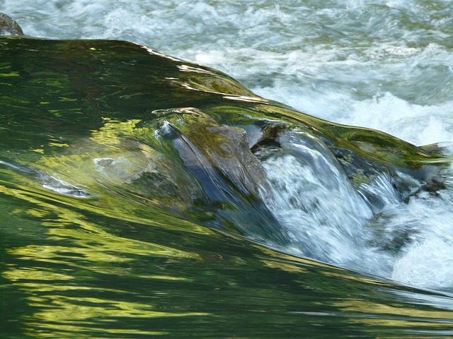 Mastering Water Leak Detection in Everett: Solutions from Source