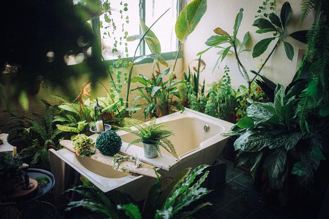 bathroom remodel plumber