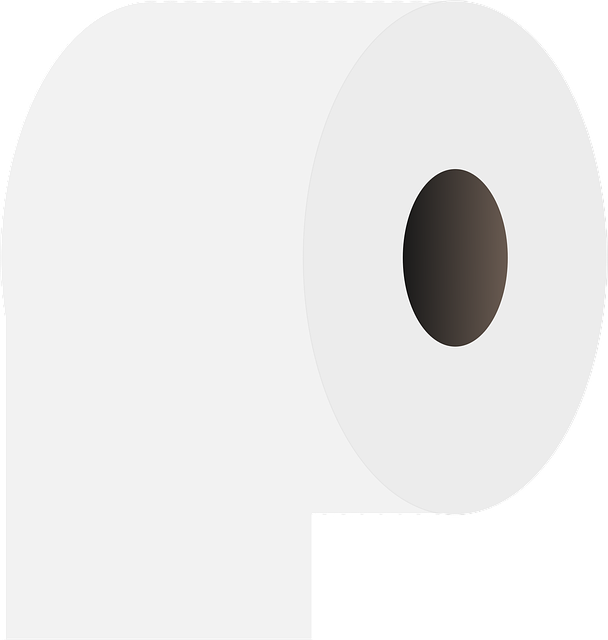 toilet-tools-640x480-20118390.png