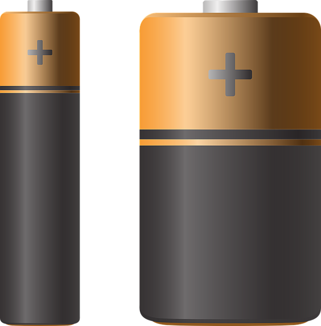 Sewage Backup Cleanup Everett