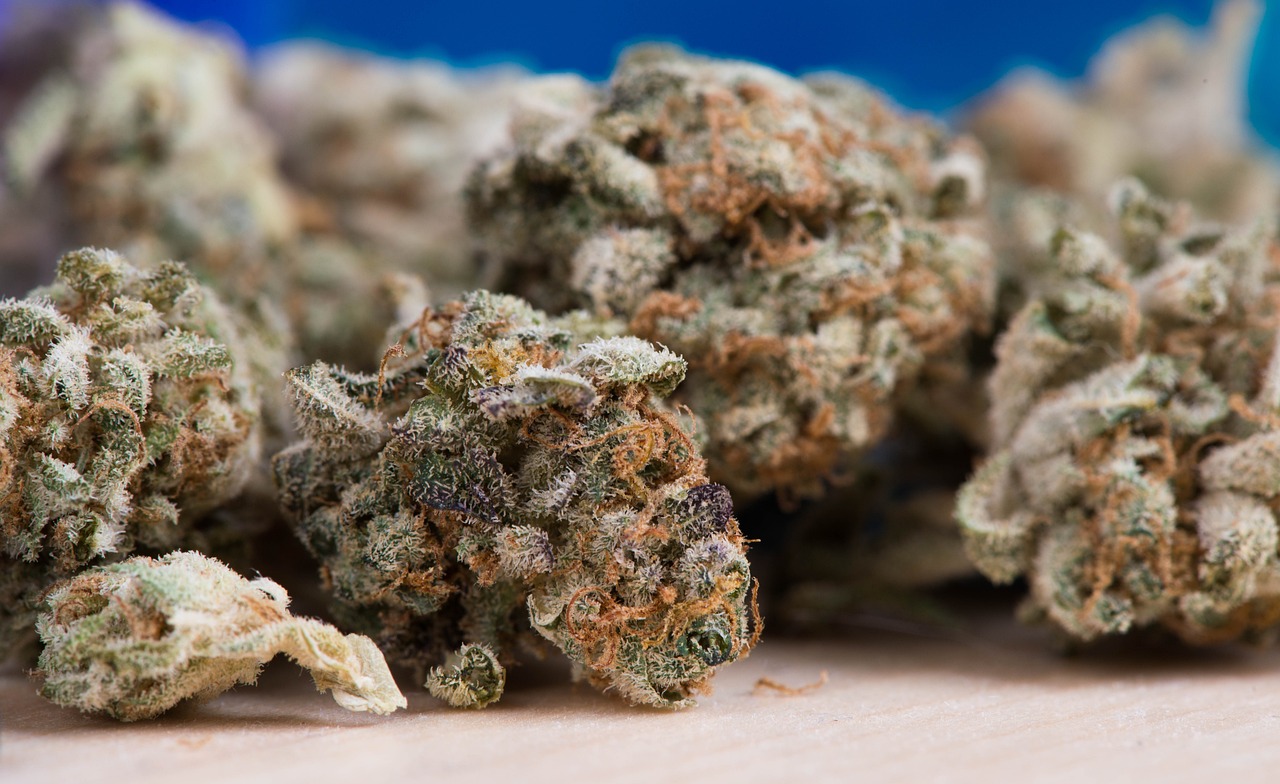 Unveiling Shatter vs. Wax: Cannabis Concentrates Deconstructed